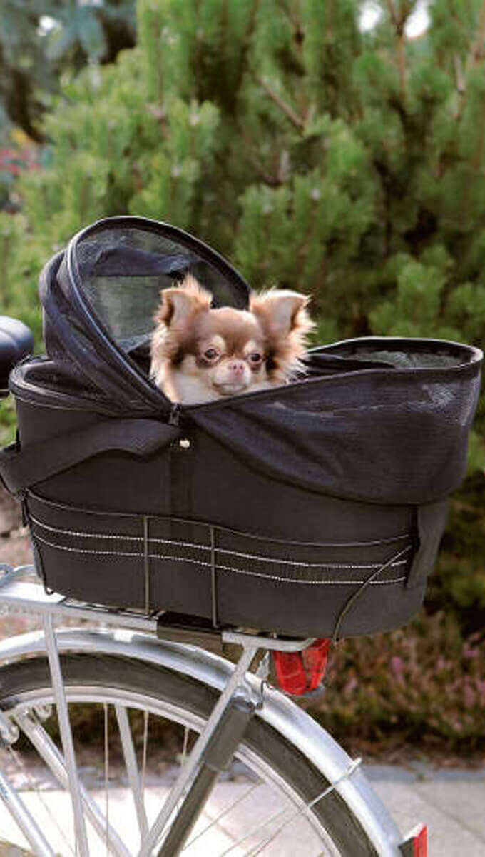 hund im fahrradkorn 680x1200